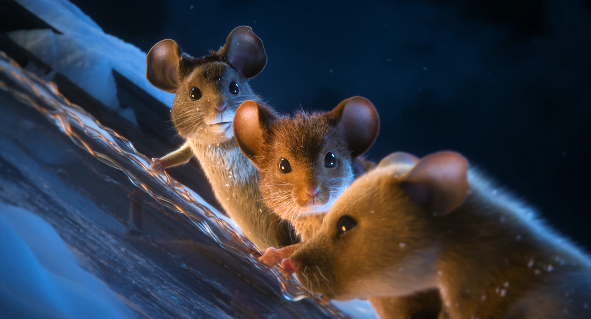 Mission: Mäusejagd - Chaos unterm Weihnachtsbaum hero banner image placeholder