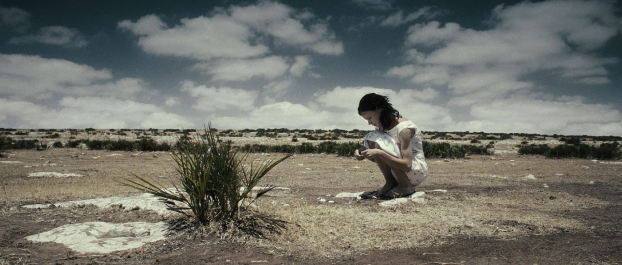 Women Without Men hero banner image placeholder