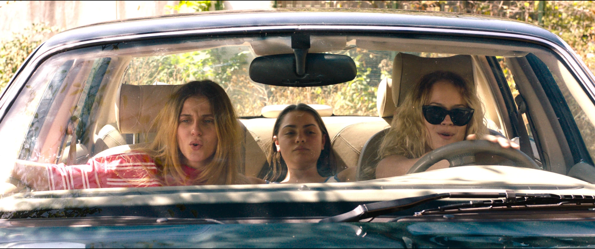 The Hill Where Lionesses Roar hero banner image placeholder