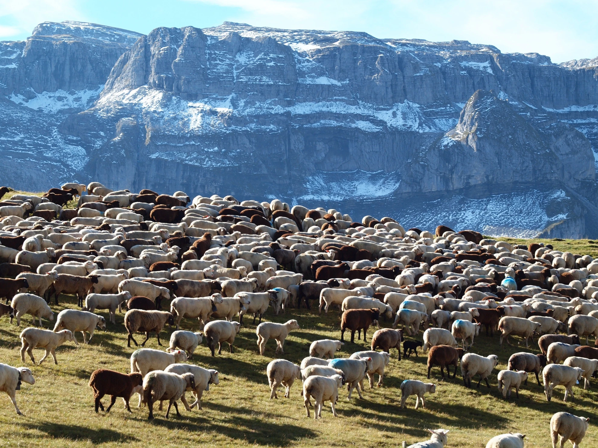 Alpsummer hero banner image placeholder