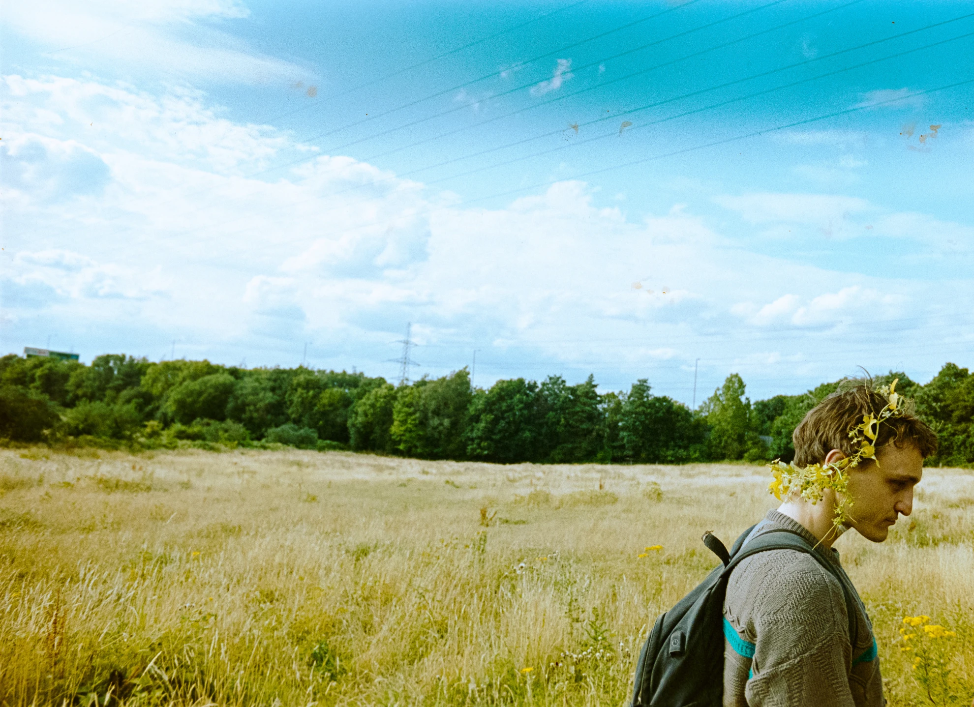 Bird hero banner image placeholder