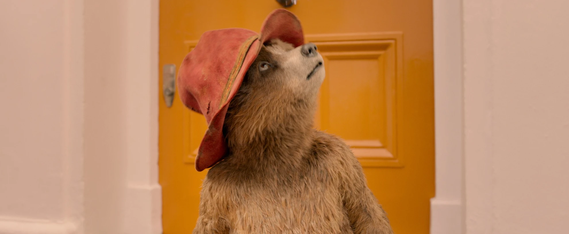 Paddington 2 hero banner image placeholder