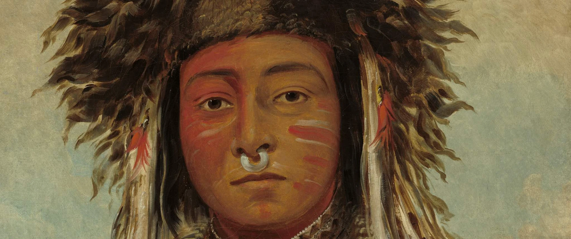 Birds of America hero banner image placeholder