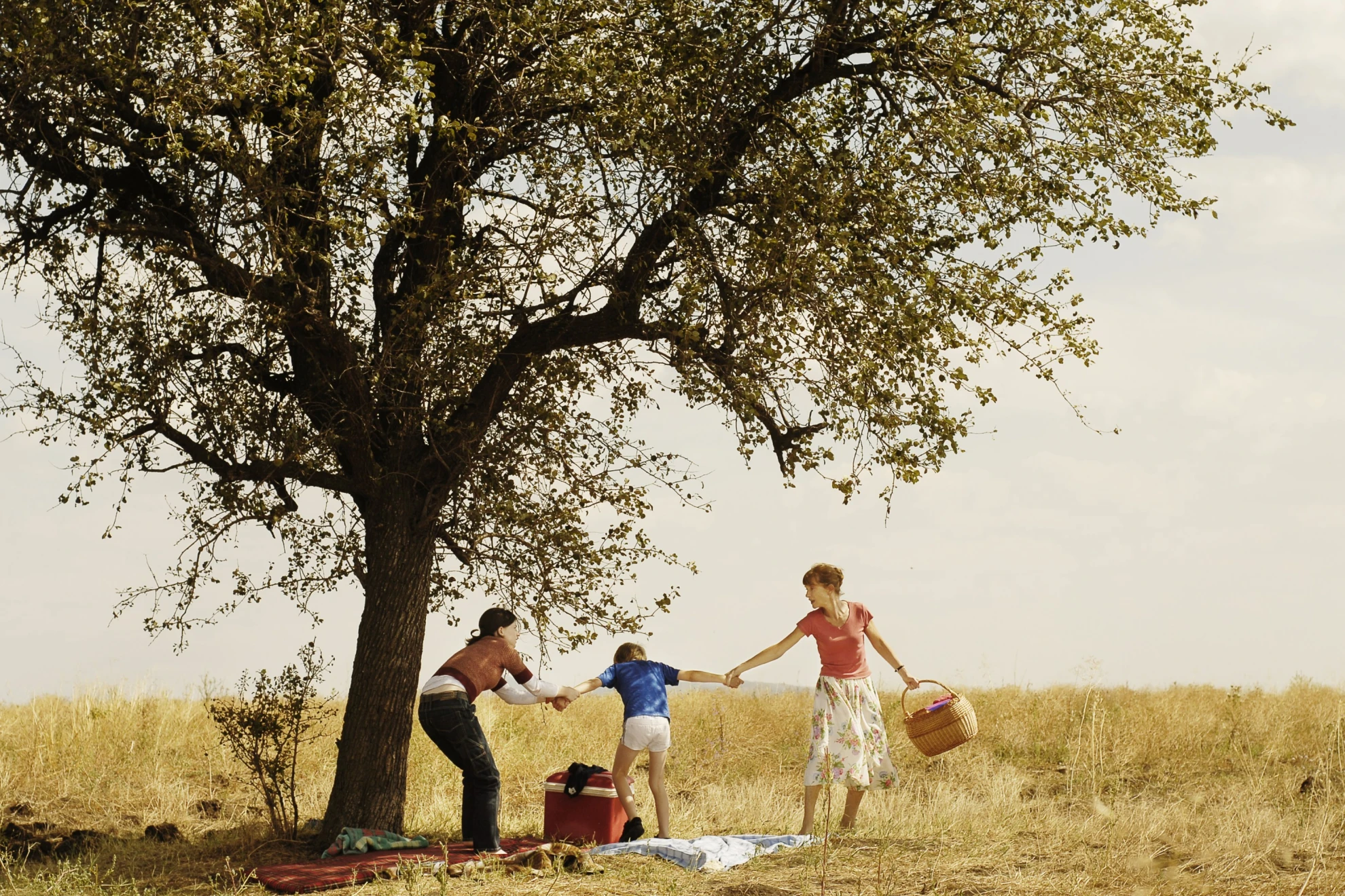 Home (2008) hero banner image placeholder