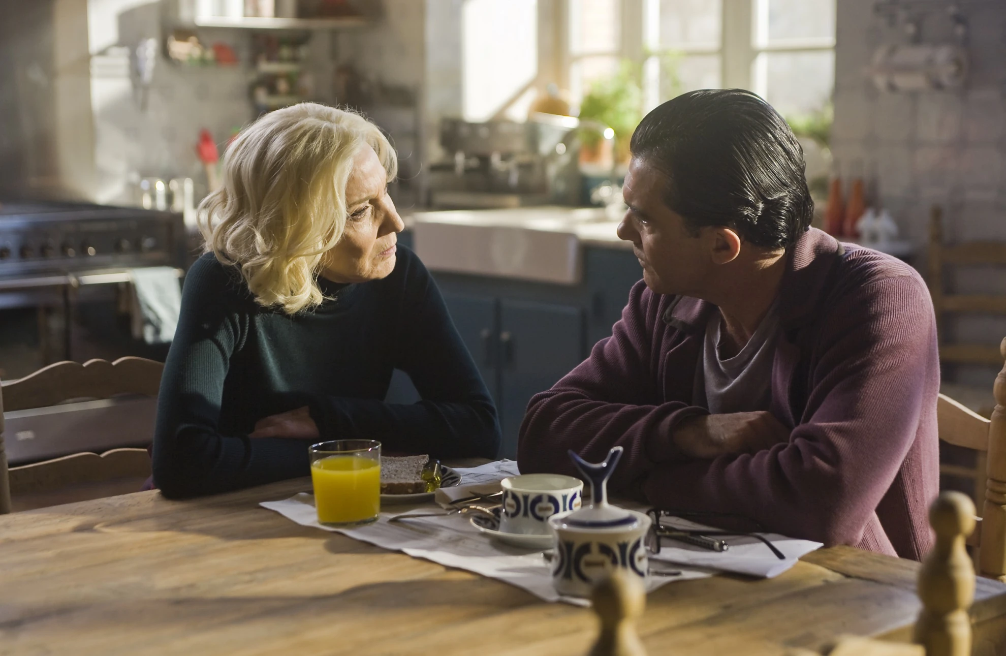 La piel que habito hero banner image placeholder