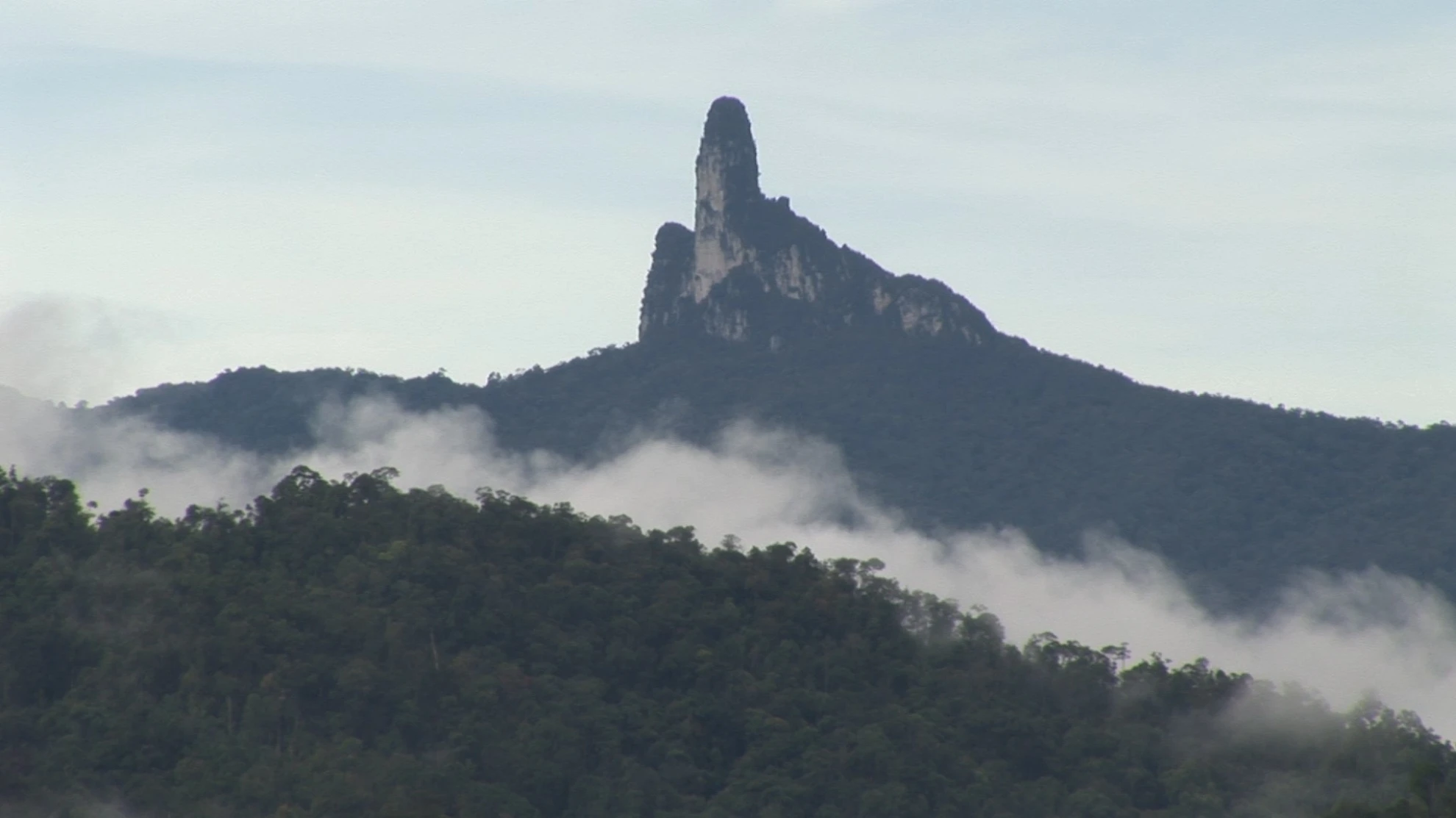 Bruno Manser - Laki Penan hero banner image placeholder