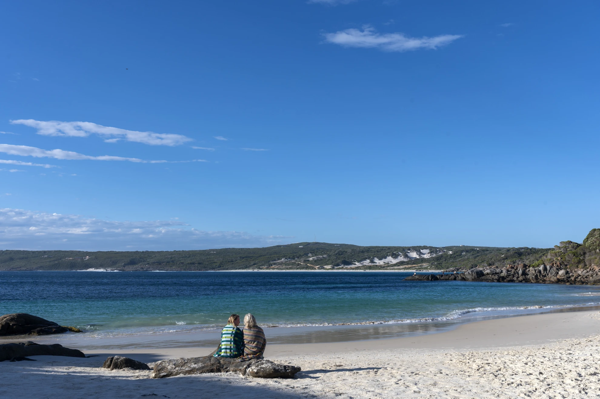 Blueback hero banner image placeholder