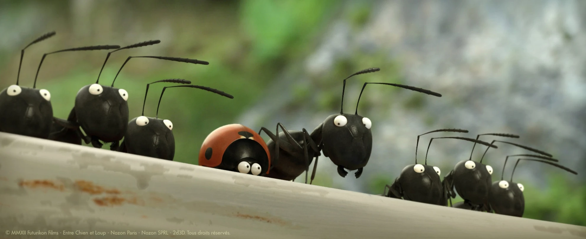 Minuscule - Kleine Helden hero banner image placeholder