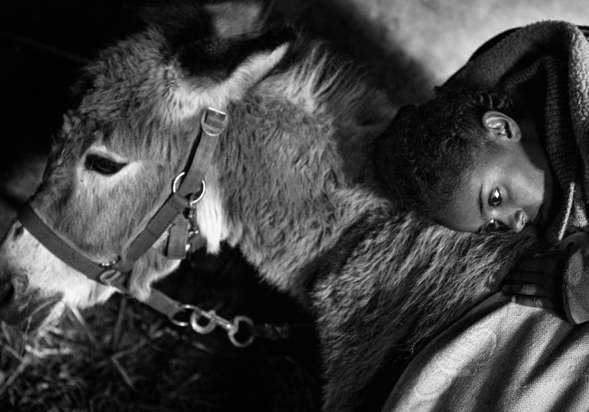 Fortuna hero banner image placeholder