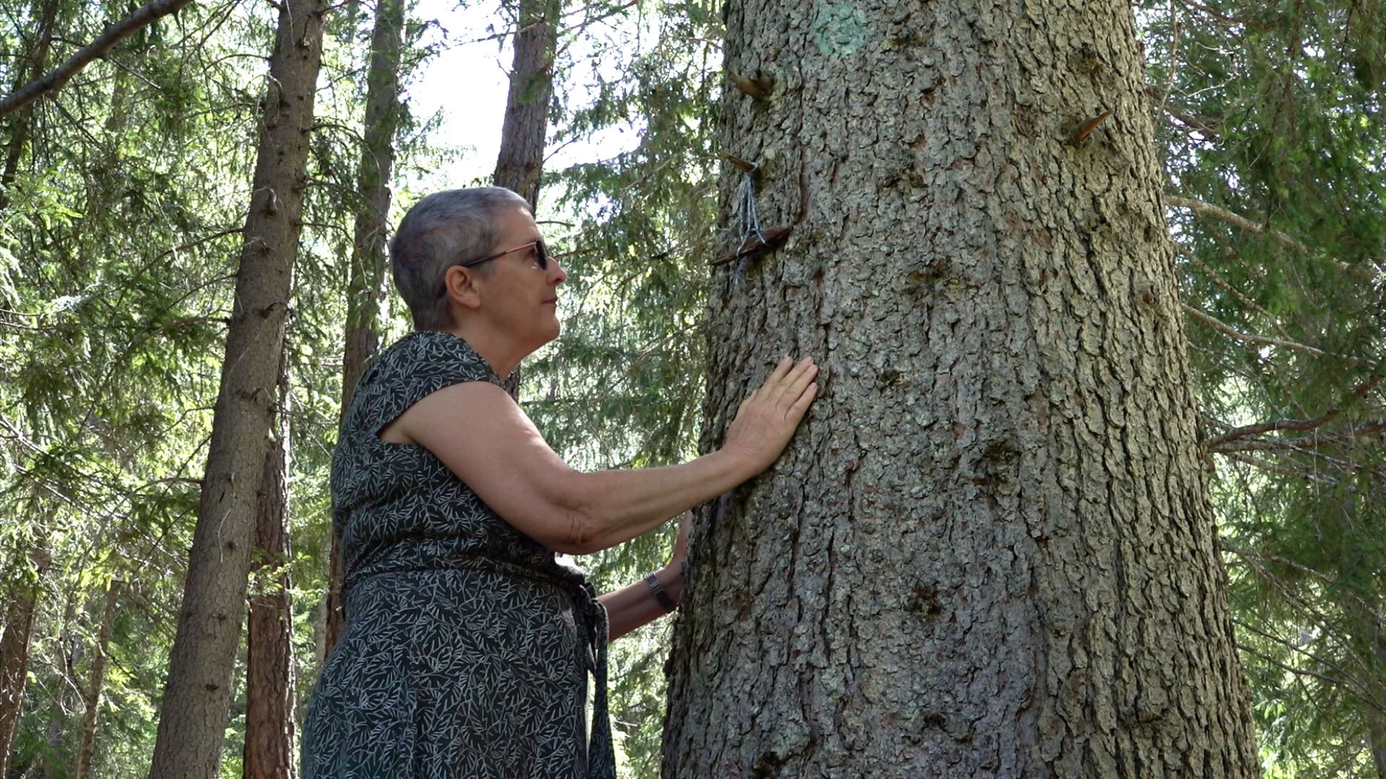 Die Tabubrecherin hero banner image placeholder