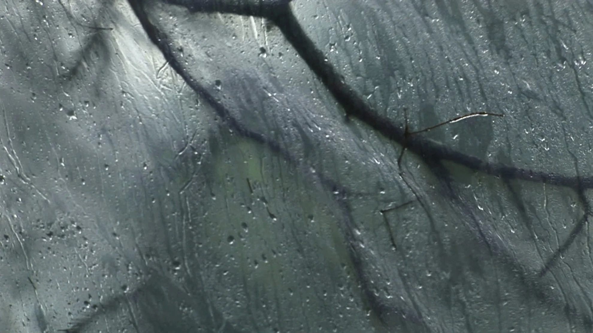 Sound of Insects hero banner image