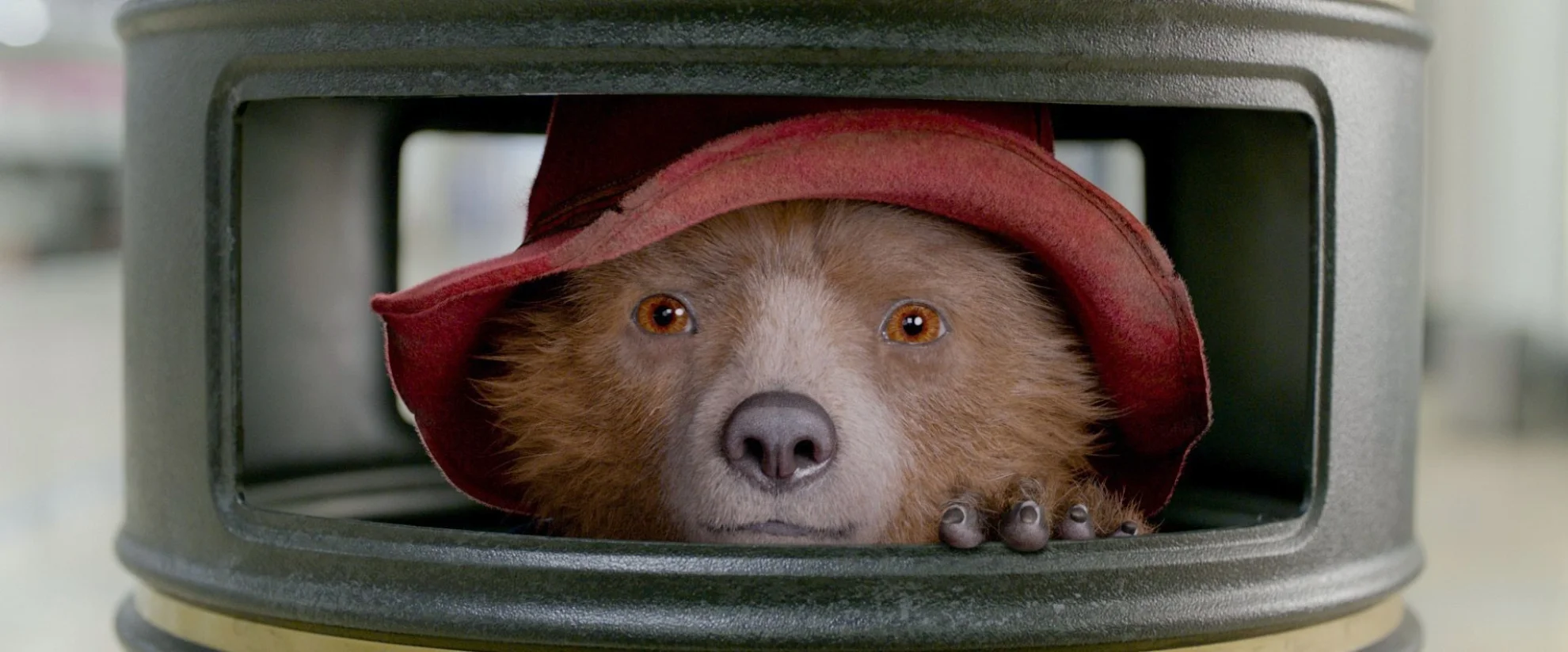 Paddington 2 hero banner image placeholder