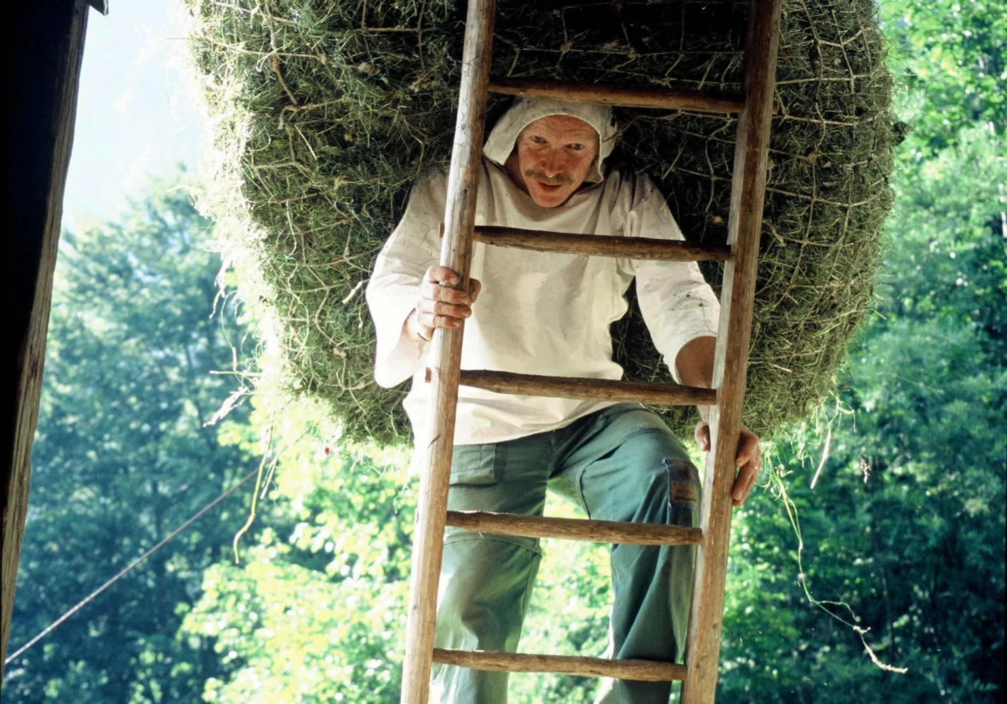 Das Erbe der Bergler (Restaurierte Fassung) hero banner image placeholder