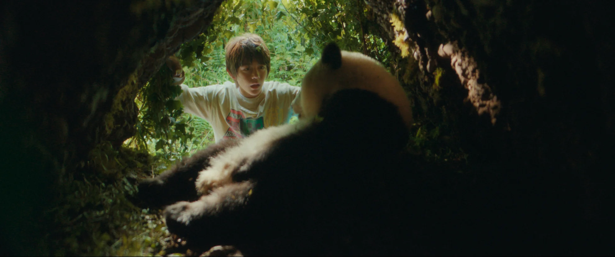 Moon, der Panda hero banner image placeholder