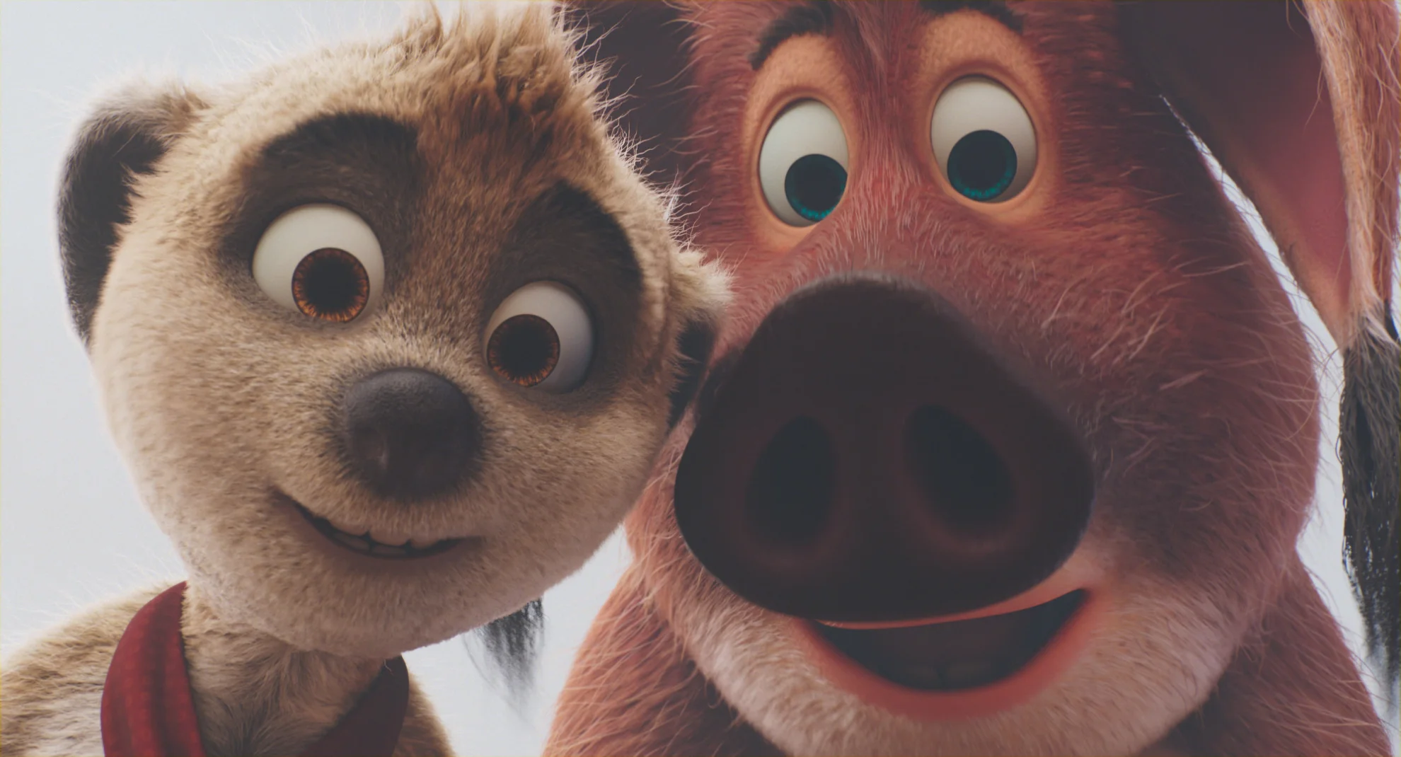 Tafiti - Ab durch die Wüste hero banner image placeholder