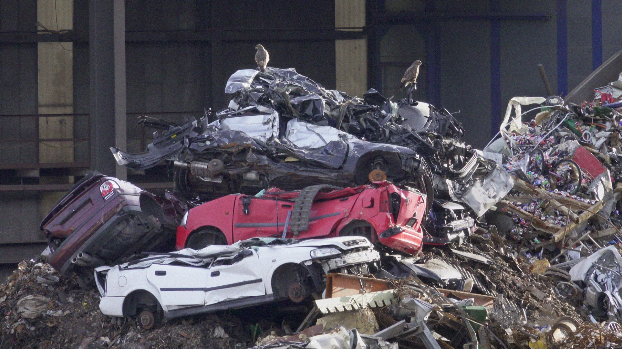 Welcome to Zwitscherland hero banner image placeholder