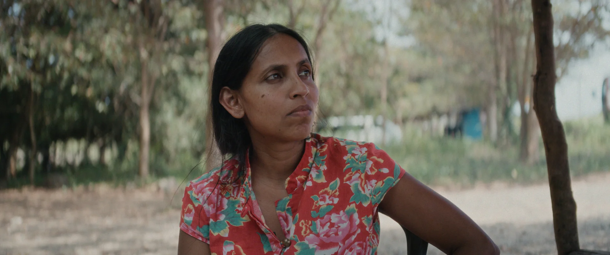 Elephants & Squirrels hero banner image