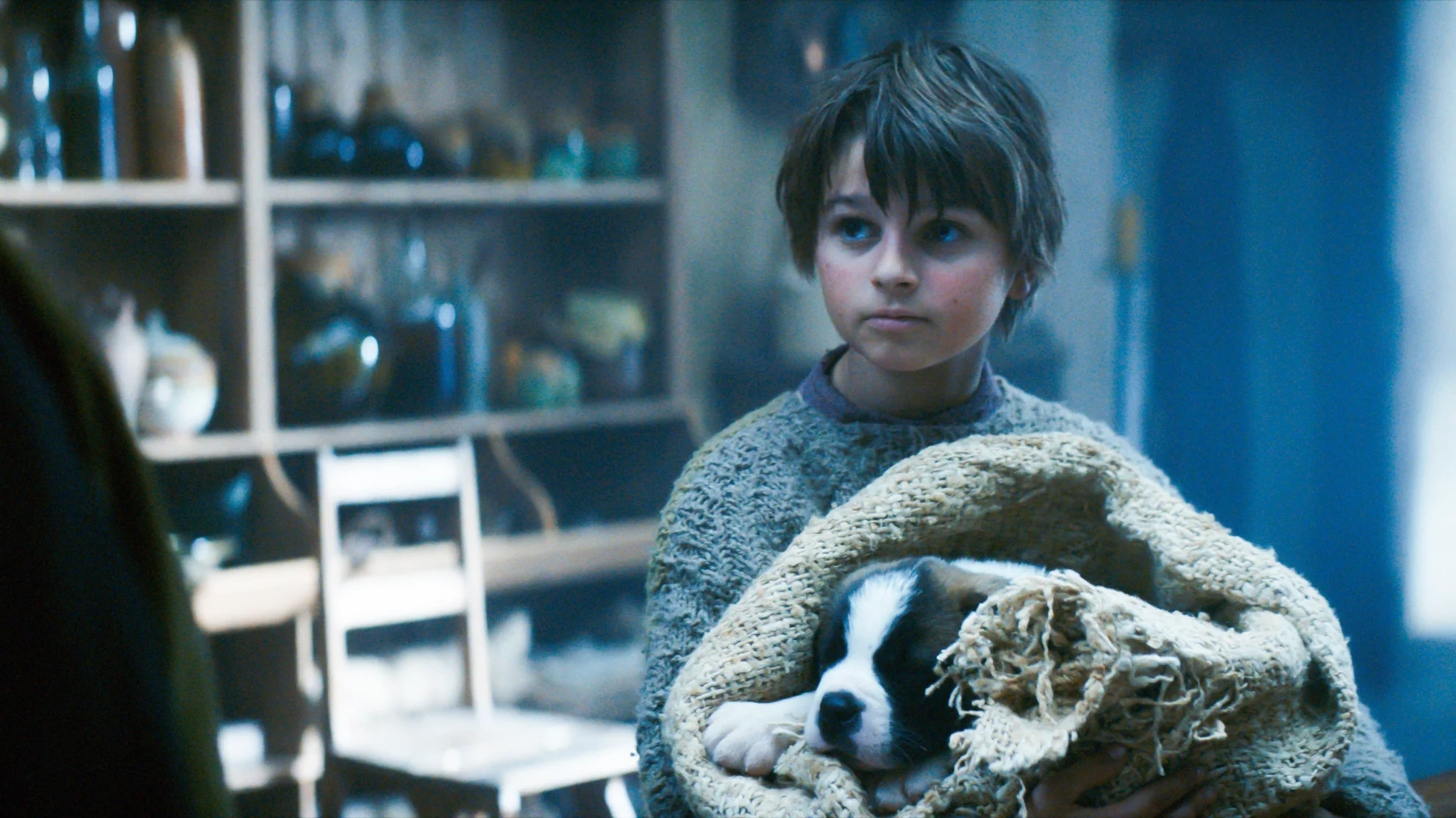 Mein Freund Barry hero banner image