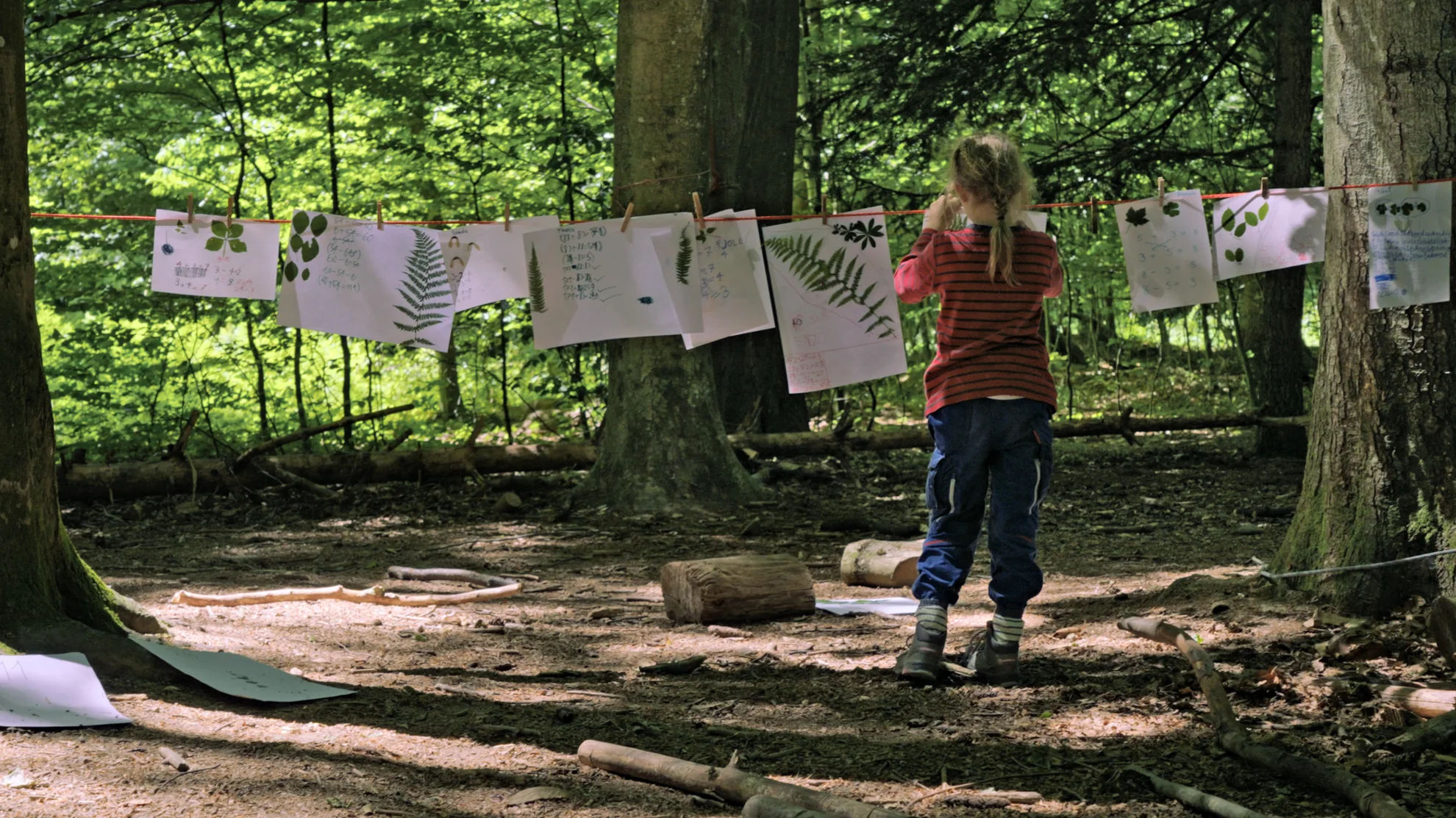 Von Kindern und Bäumen – Ein Jahr in der Waldschule hero banner image placeholder
