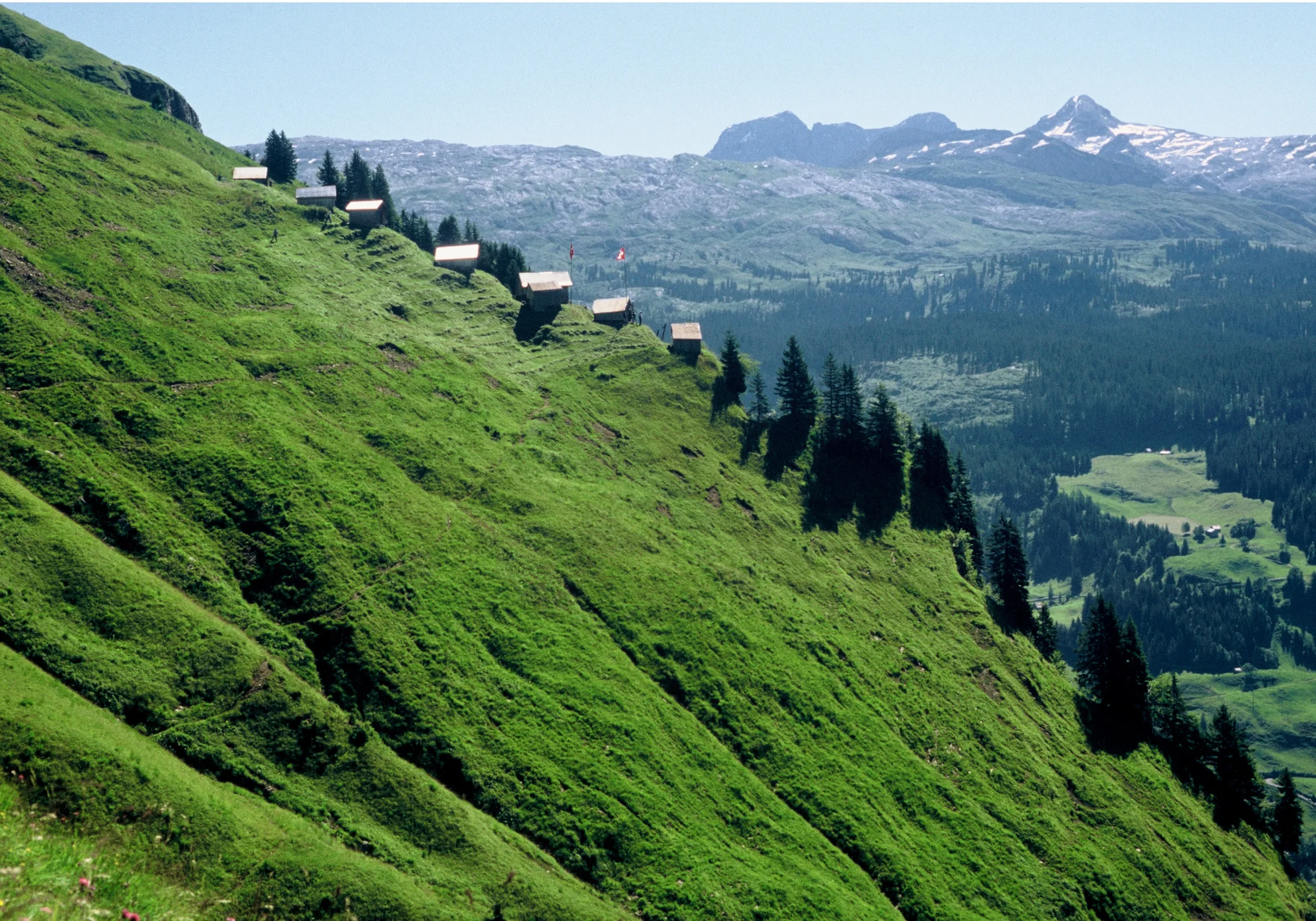 Das Erbe der Bergler (Restaurierte Fassung) hero banner image placeholder