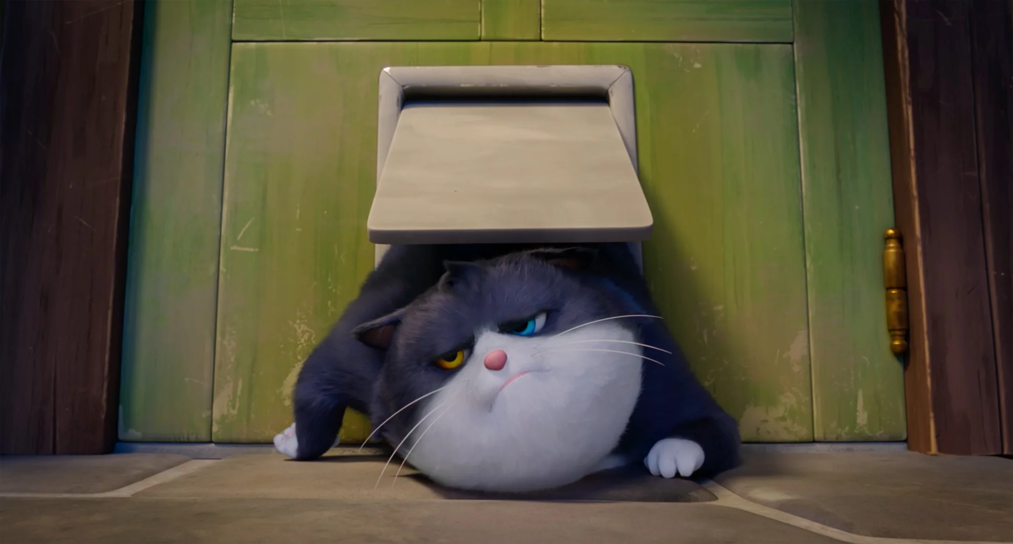 Alles für die Katz hero banner image placeholder