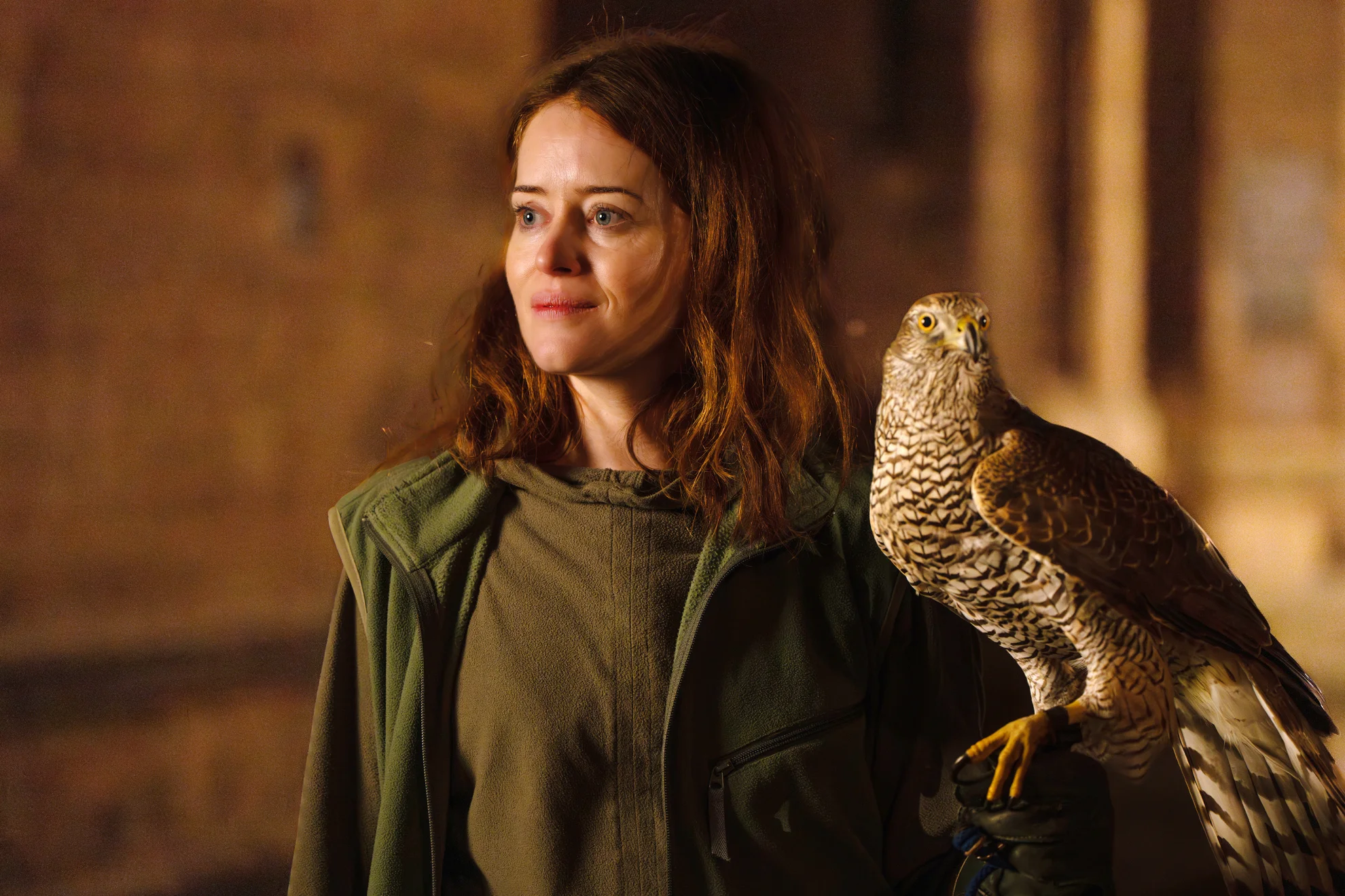 H Is for Hawk hero banner image