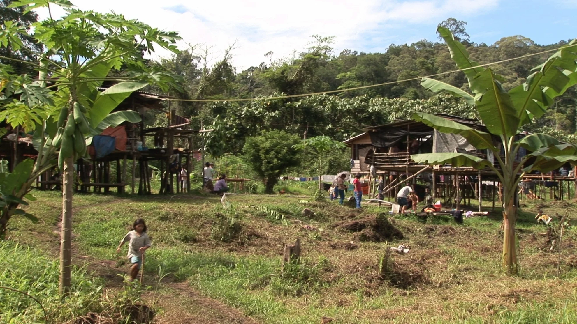 Bruno Manser - Laki Penan hero banner image placeholder