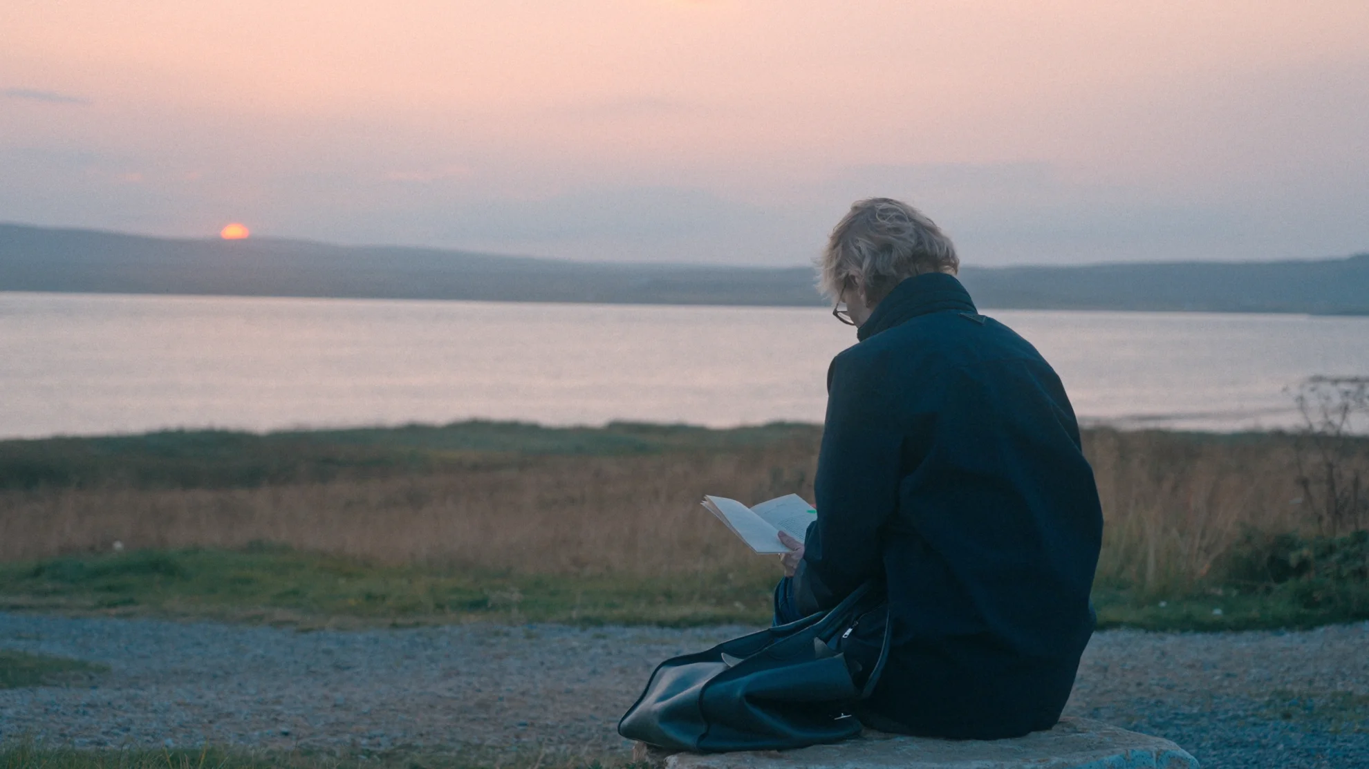 Siri Hustvedt - Dance Around the Self hero banner image placeholder