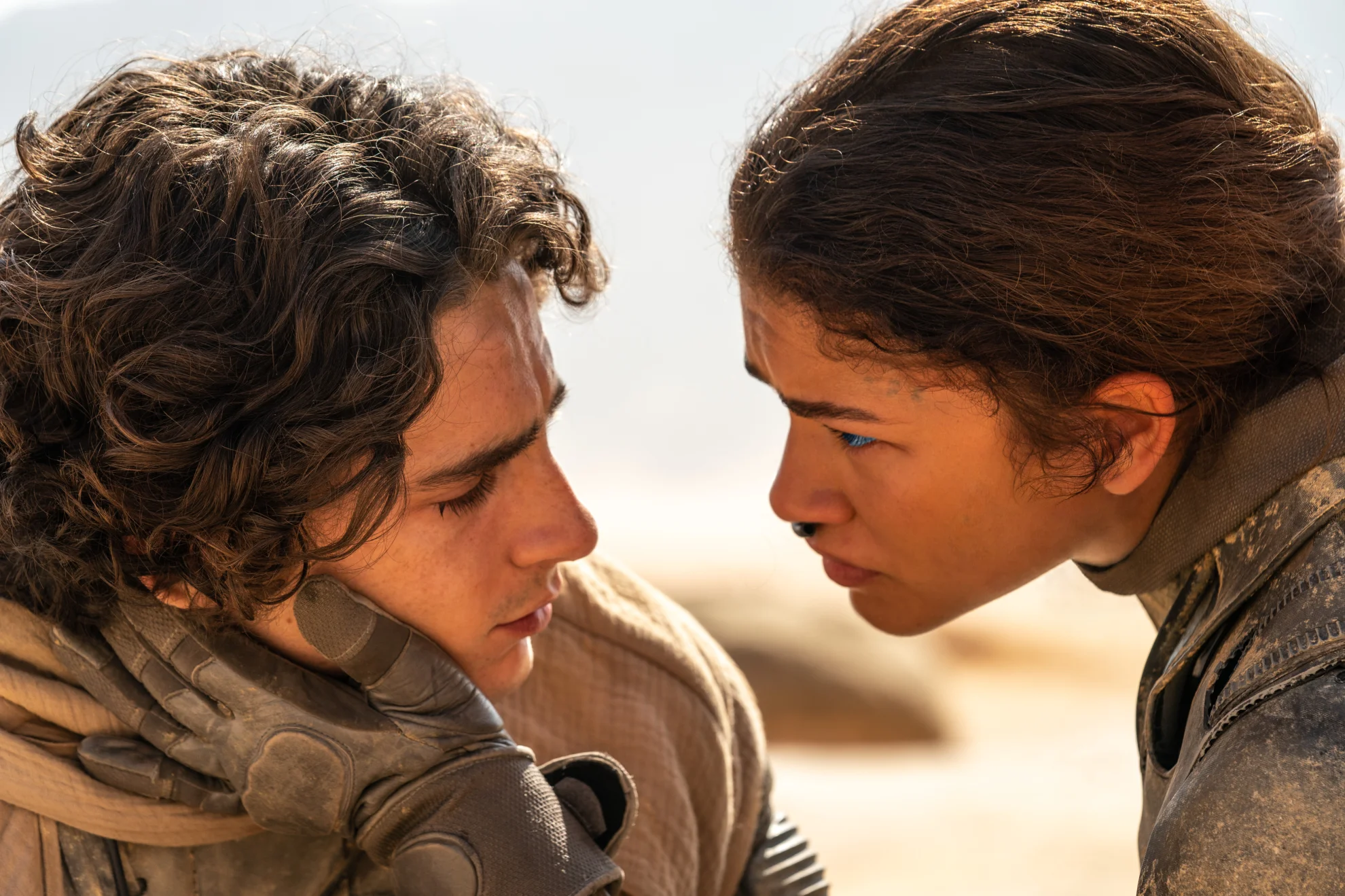 Dune: Part Two hero banner image placeholder