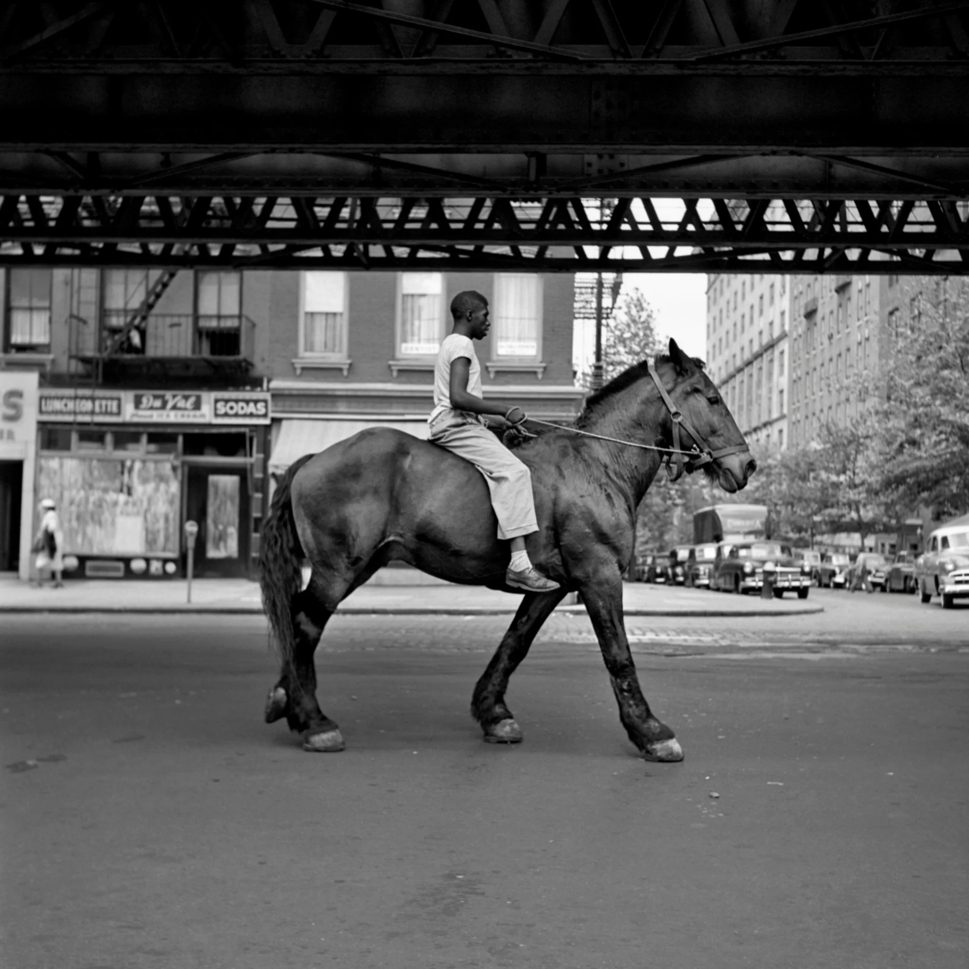 Finding Vivian Maier hero banner image placeholder