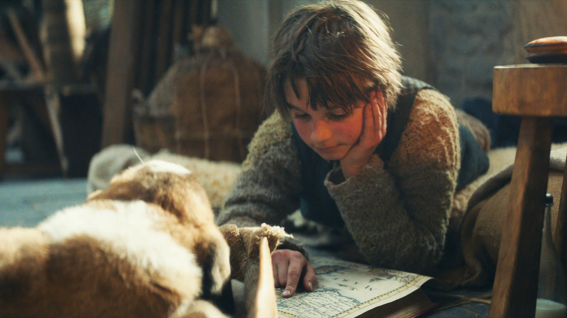 Mein Freund Barry hero banner image placeholder