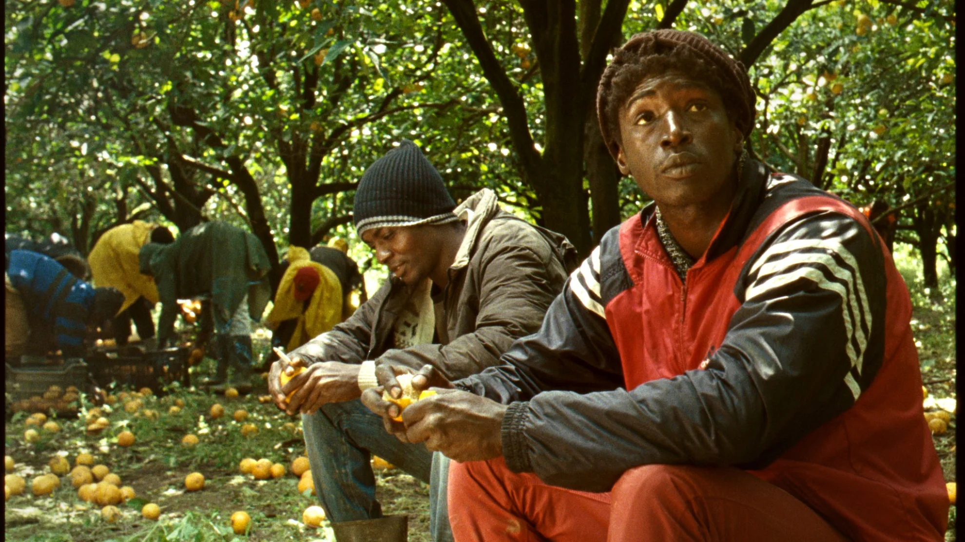 Mediterranea hero banner image placeholder