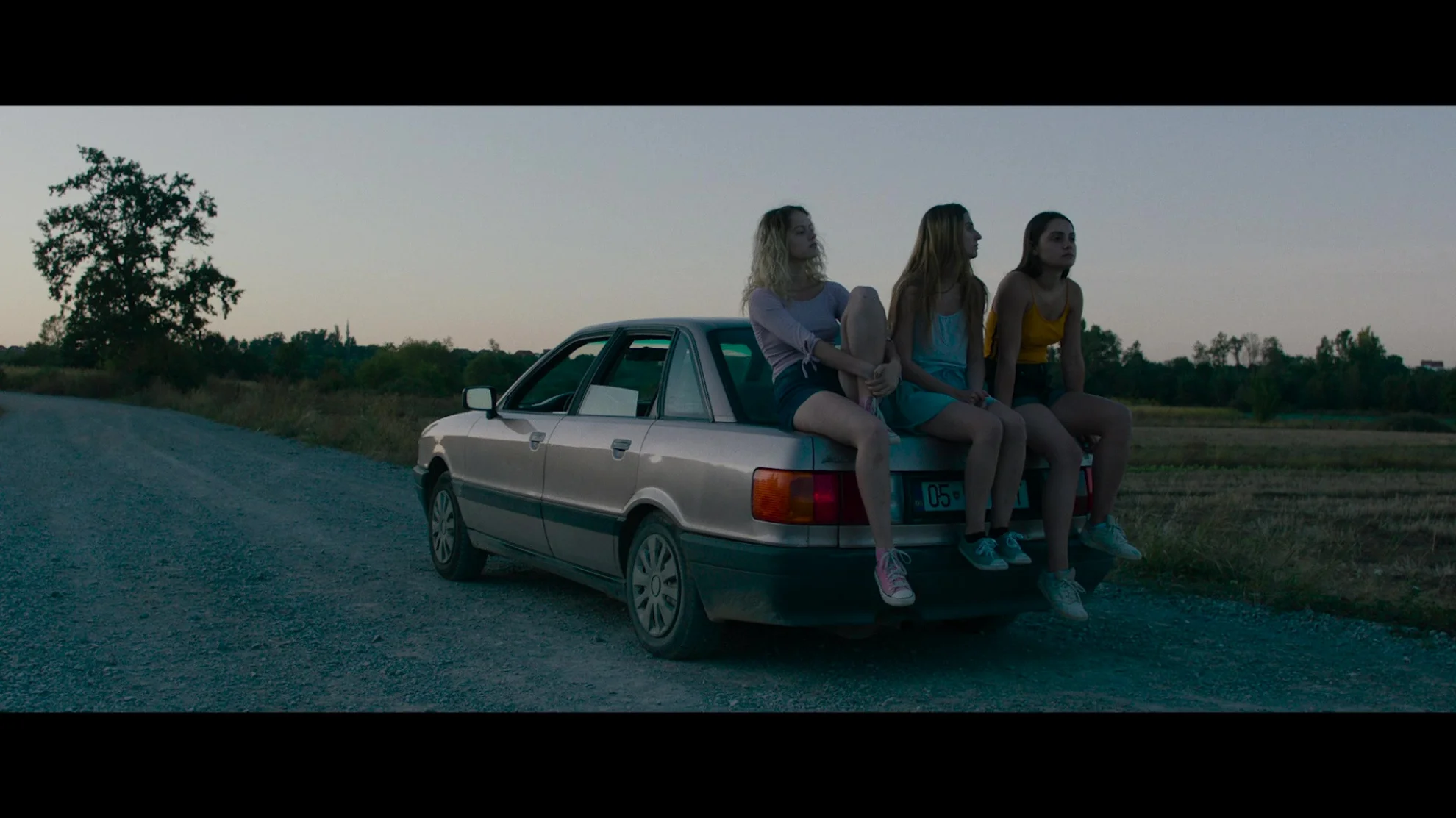 The Hill Where Lionesses Roar hero banner image placeholder