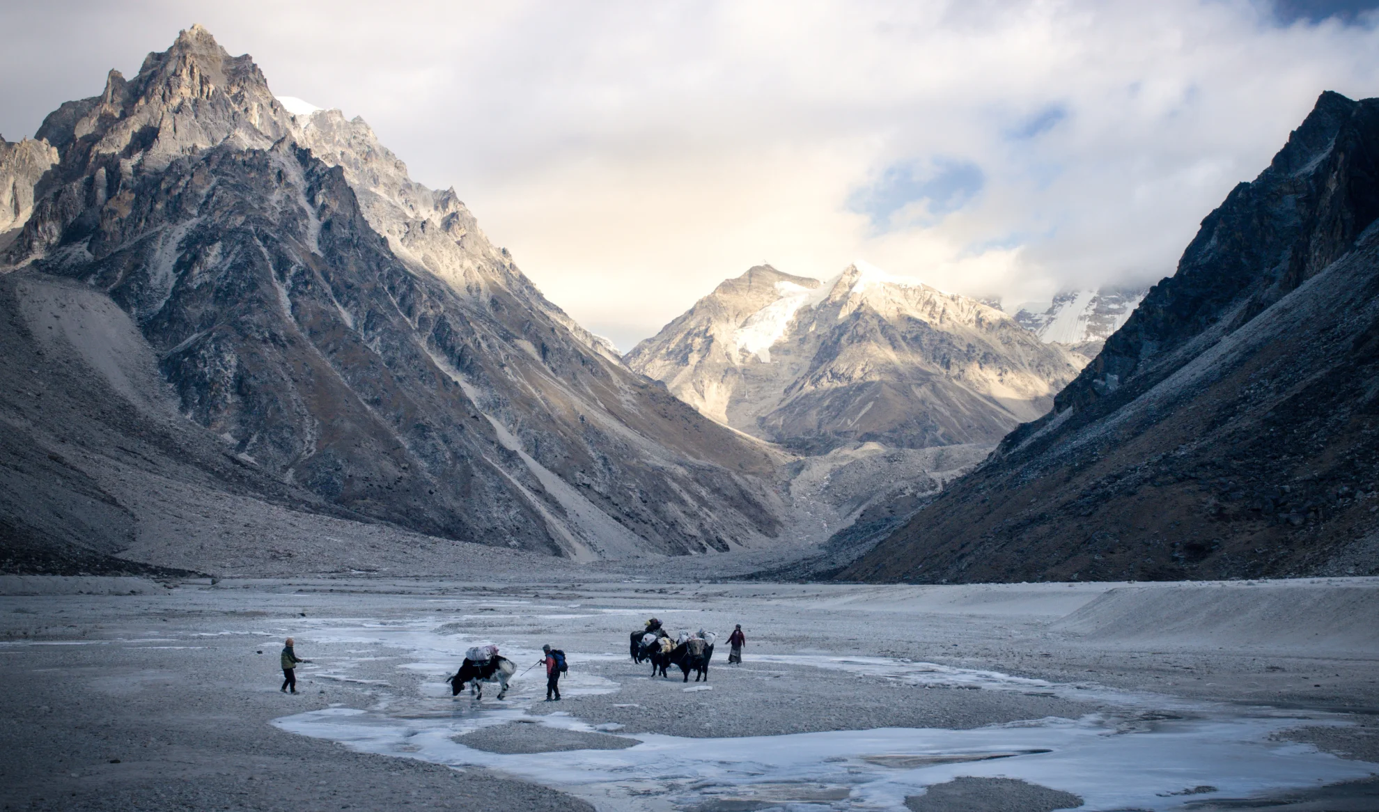 The Wall of Shadows hero banner image placeholder