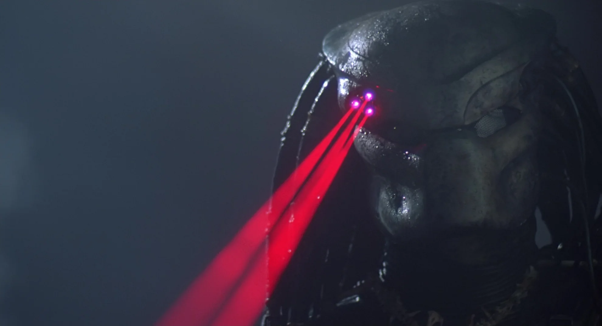 Predator hero banner image placeholder