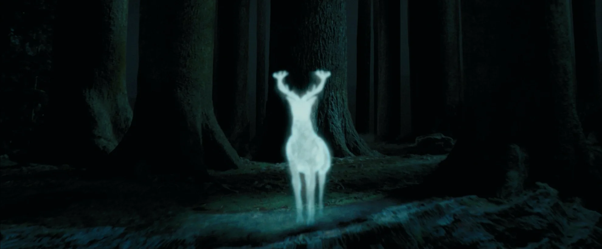Harry Potter 1-4 hero banner image placeholder