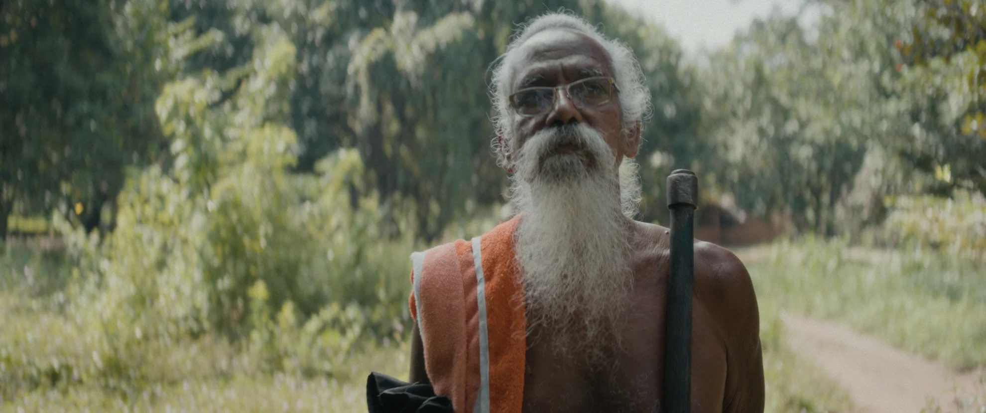 Elephants & Squirrels hero banner image placeholder