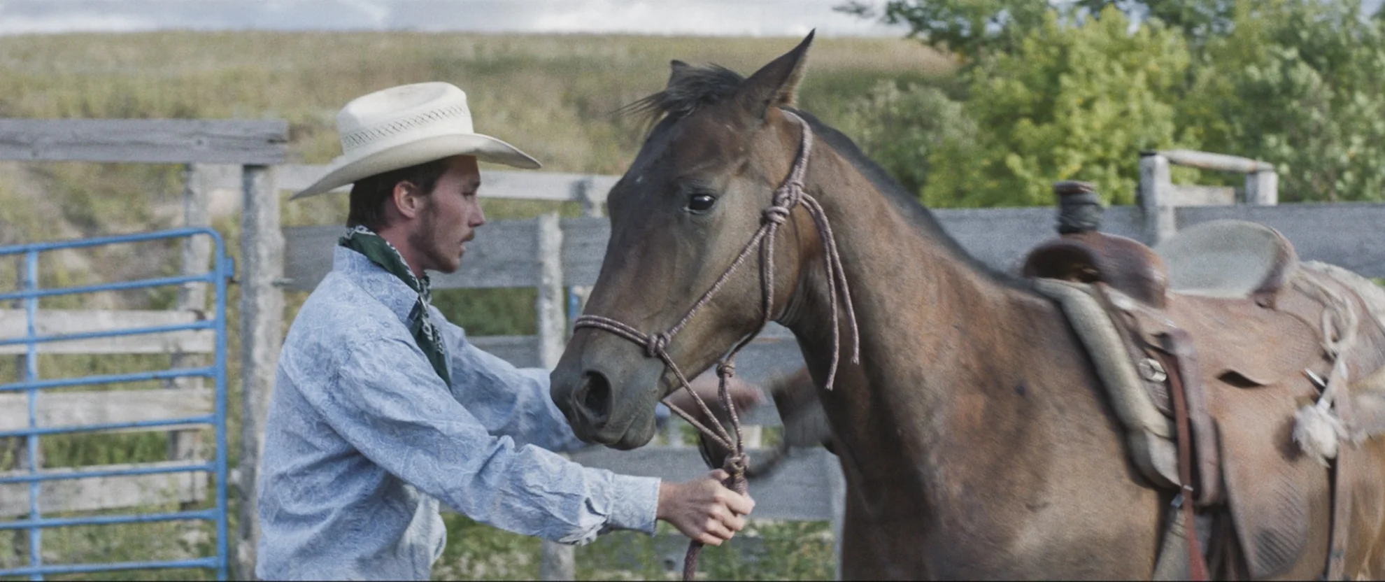 The Rider hero banner image placeholder