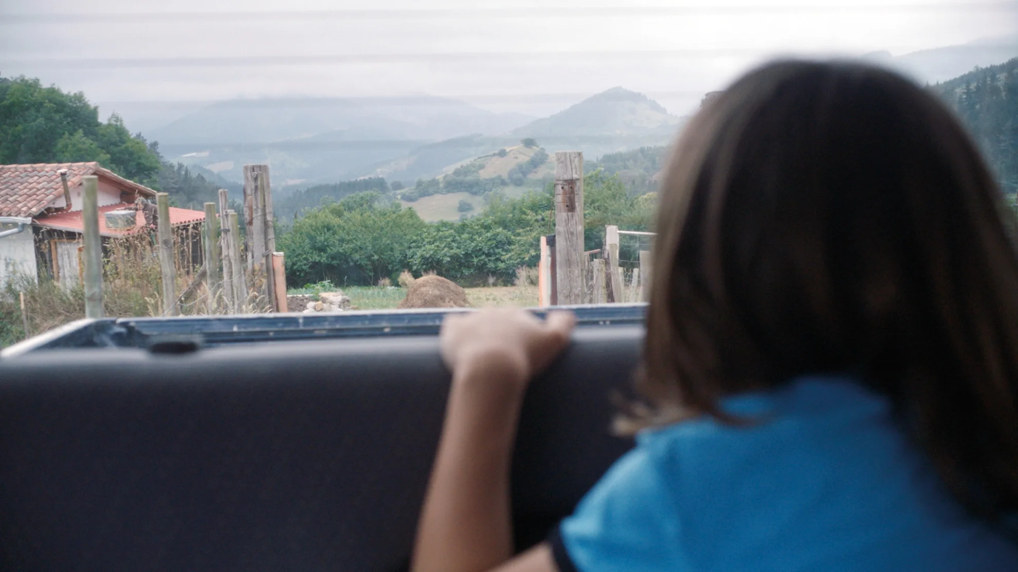 20000 especies de abejas hero banner image placeholder