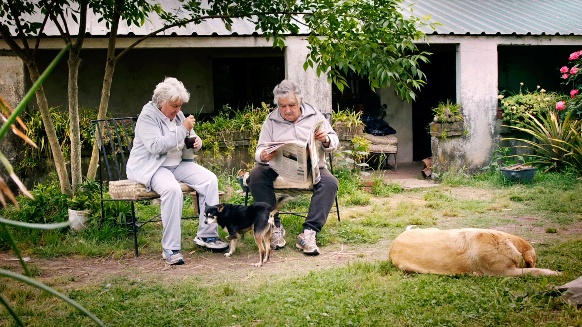 Pepe Mujica - el presidente hero banner image placeholder