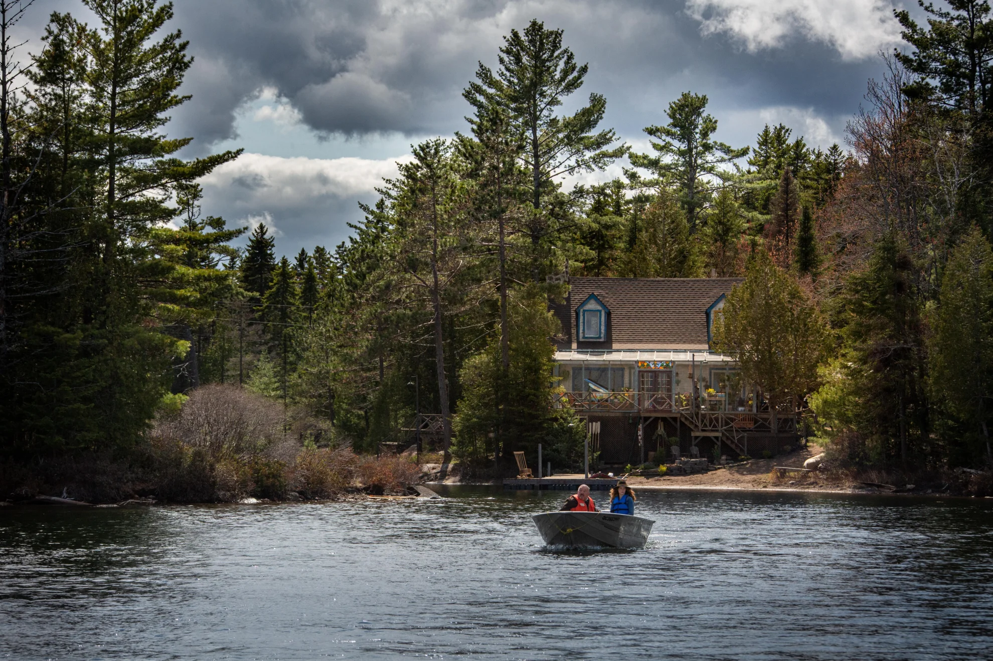 The Wolf and the Lion hero banner image placeholder