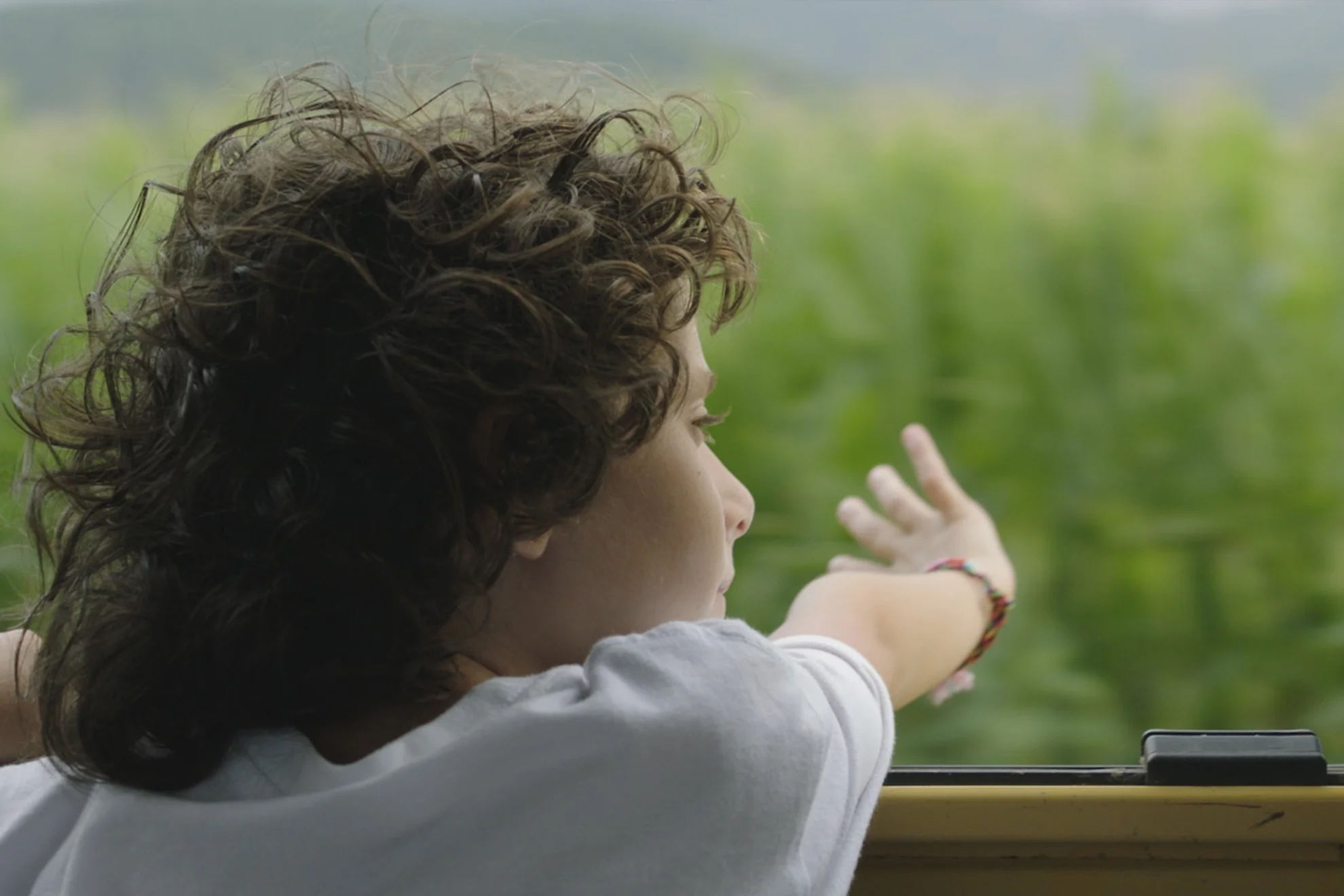 Estiu 1993 hero banner image placeholder