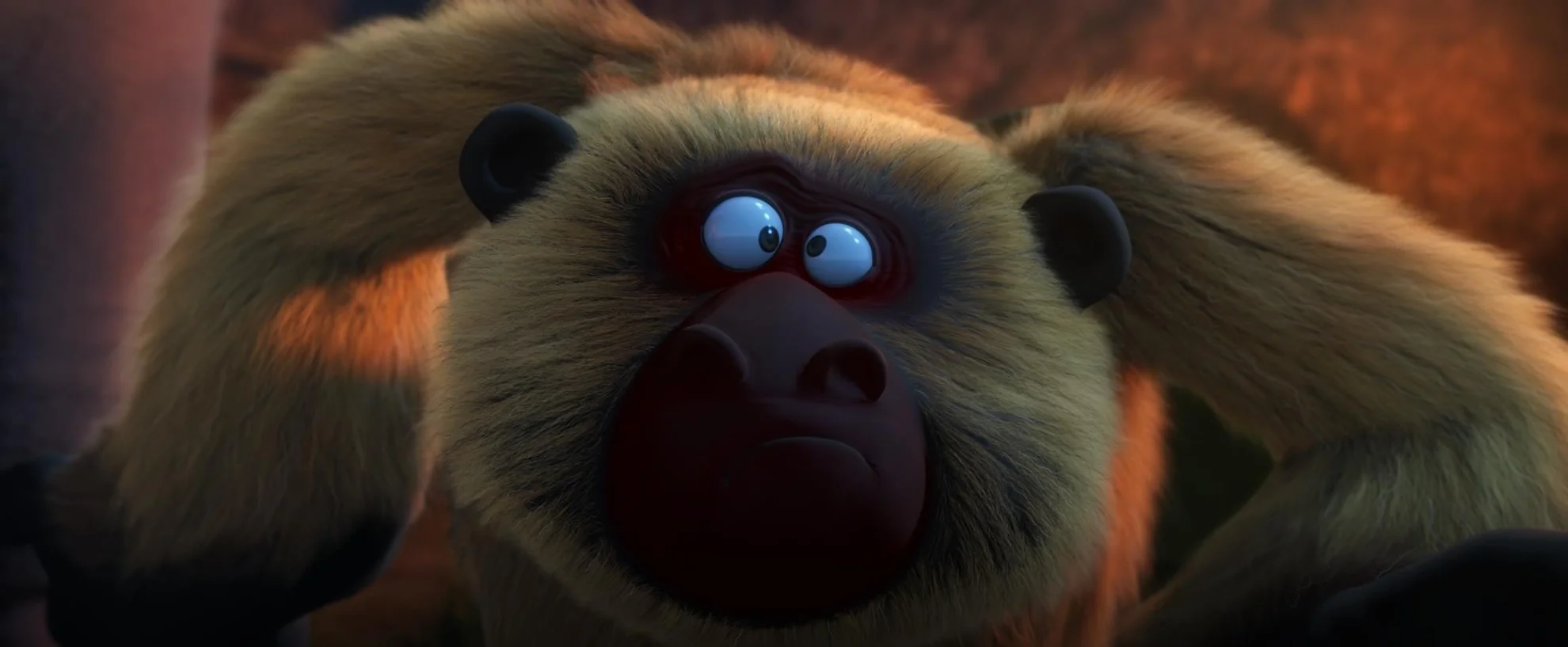 Dschungelhelden hero banner image placeholder