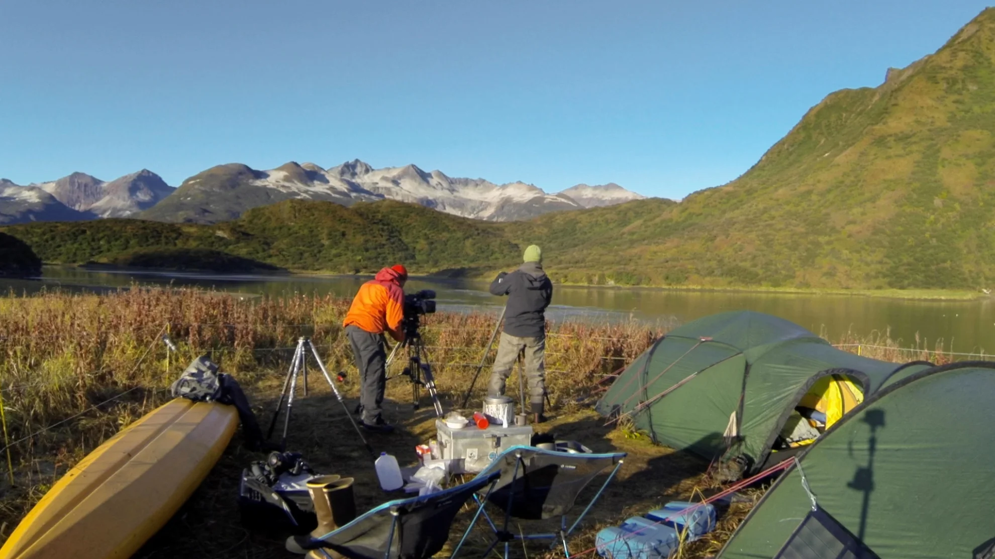 Der Bär in mir hero banner image placeholder