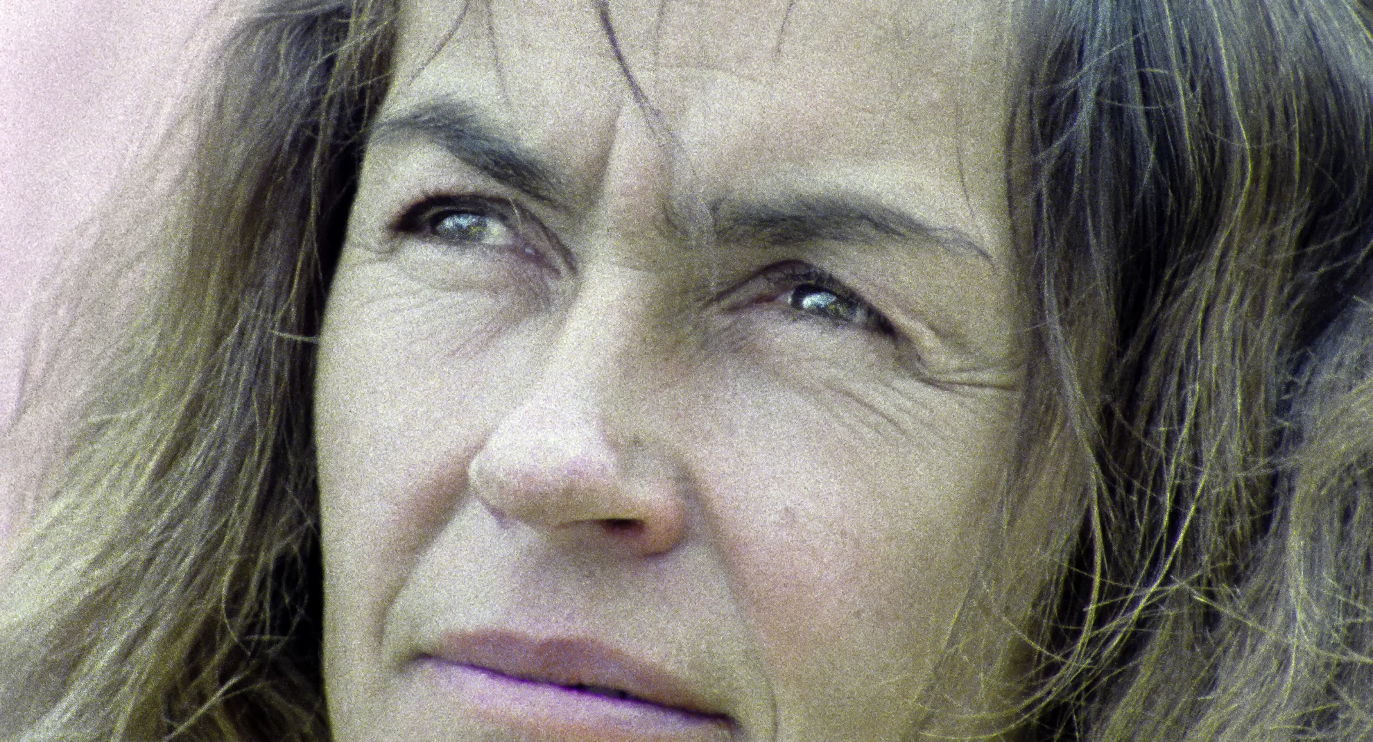 The Last Expedition hero banner image