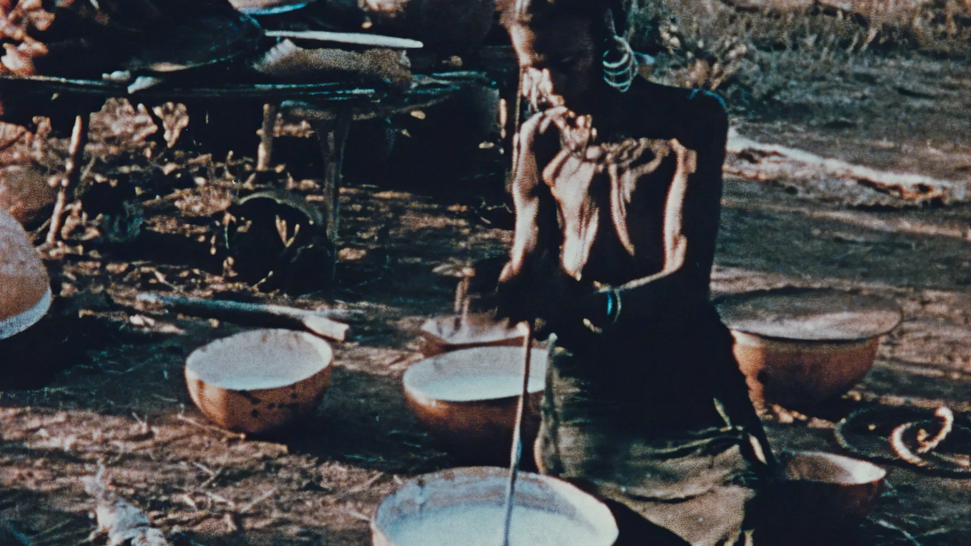 Henry Brandt en Afrique hero banner image placeholder