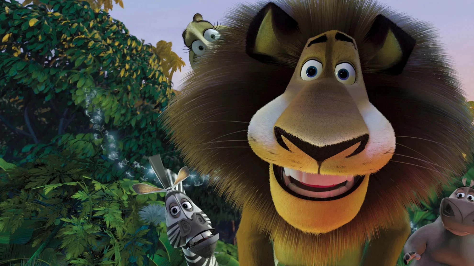 Madagascar hero banner image placeholder