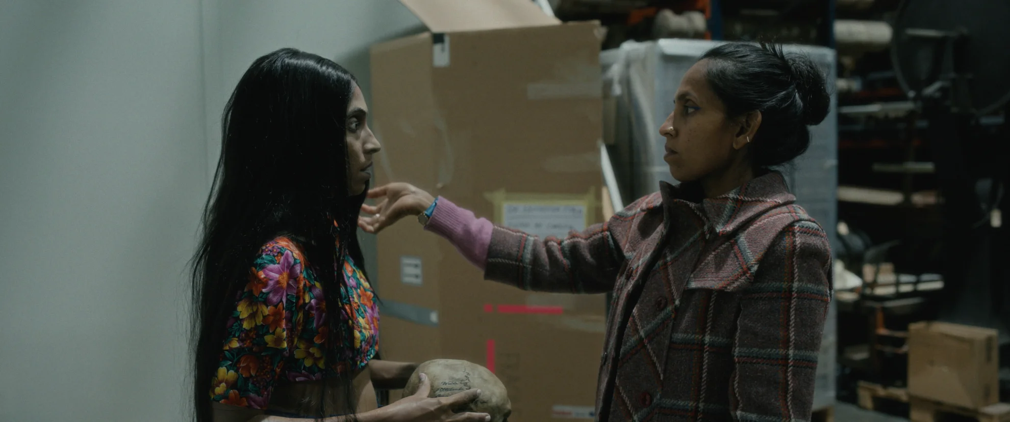 Elephants & Squirrels hero banner image placeholder