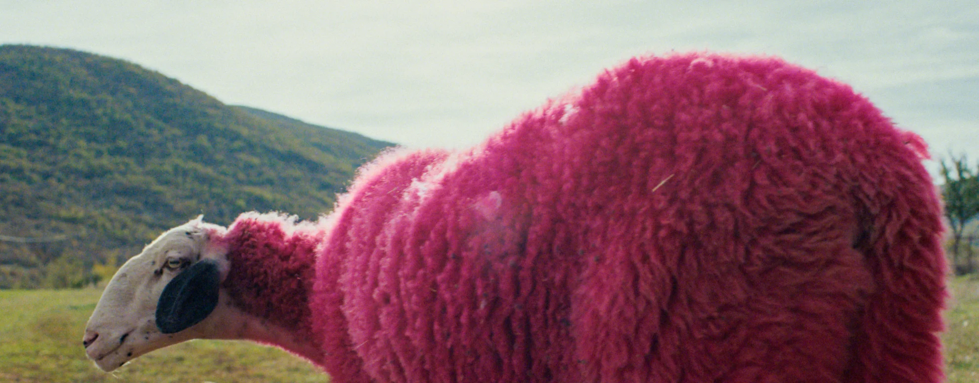 DJ Ahmet hero banner image placeholder