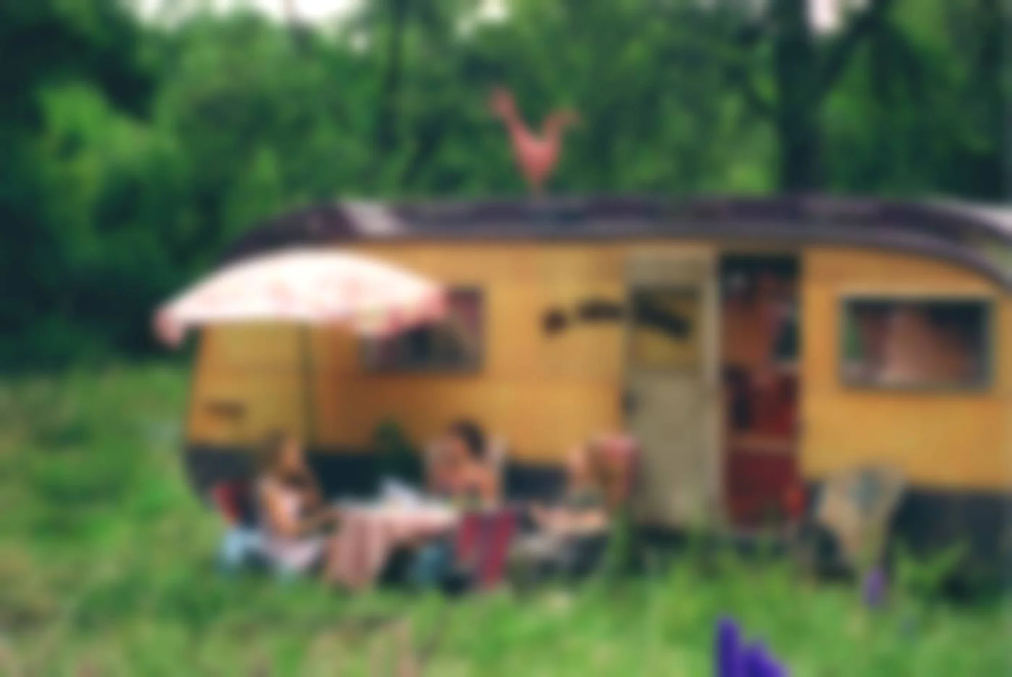 Die wilden Hühner und die Liebe hero banner image placeholder